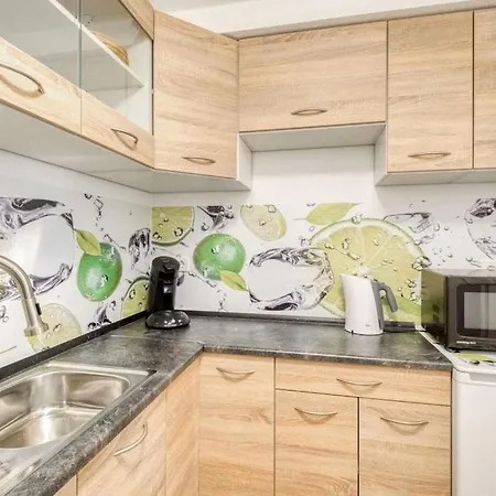 Charme Apartamento Friburgo em Brisgóvia